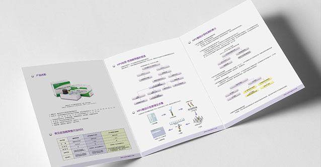 亞能生物技術（深圳）有限公司-平面展示圖